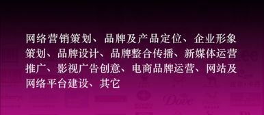 国内顶级互联网营销推广公司 专注低成本品牌策划与市场营销