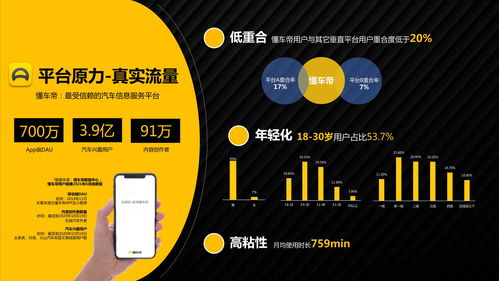 21份种草带货产品营销品牌策划方案 计算机系统服务成功案例分享